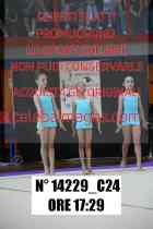 14229_C24