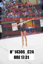 14306_C24
