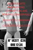 14377_C24