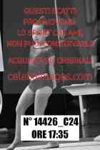 14426_C24