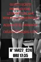 14427_C24