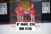 14441_C24