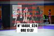 14484_C24