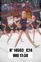 14503_C24