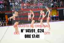 14591_C24