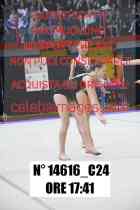 14616_C24