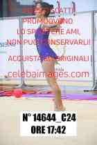 14644_C24