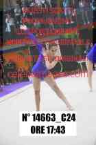 14663_C24