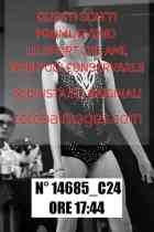 14685_C24