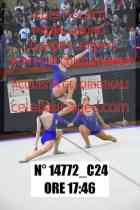 14772_C24