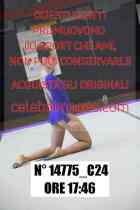 14775_C24