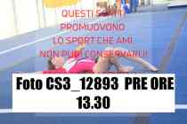 CS3_12893-PRE-ORE-13.30