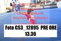 CS3_12895-PRE-ORE-13.30