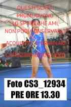 CS3_12934-PRE-ORE-13.30
