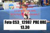 CS3_12987-PRE-ORE-13.30