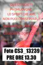 CS3_13239-PRE-ORE-13.30