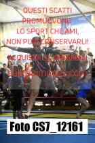 CS7_12161-