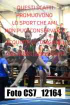 CS7_12164-