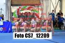 CS7_12209-