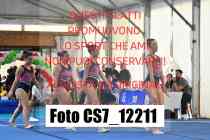 CS7_12211-