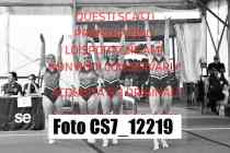 CS7_12219-