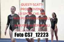 CS7_12223-
