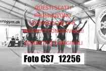 CS7_12256-