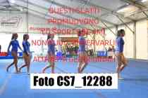 CS7_12288-