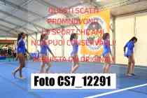 CS7_12291-