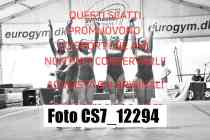 CS7_12294-
