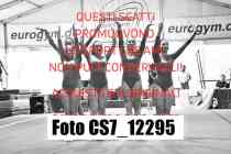 CS7_12295-