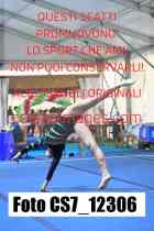 CS7_12306-