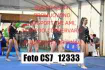 CS7_12333-