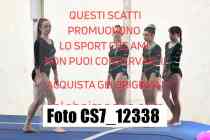 CS7_12338-
