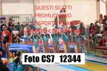 CS7_12344-