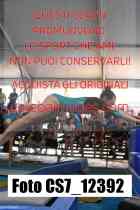 CS7_12392-