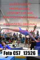 CS7_12526-