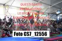 CS7_12556-