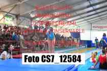 CS7_12584-