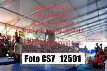 CS7_12591-