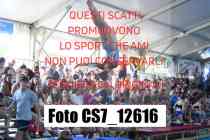 CS7_12616-