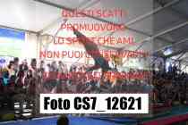 CS7_12621-