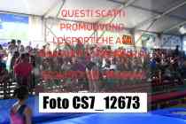 CS7_12673-