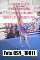 CS4_10011-
