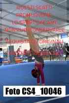 CS4_10046-