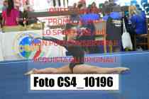 CS4_10196-
