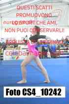 CS4_10242-