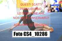 CS4_10286-