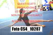 CS4_10287-