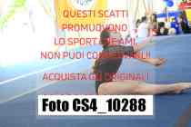 CS4_10288-